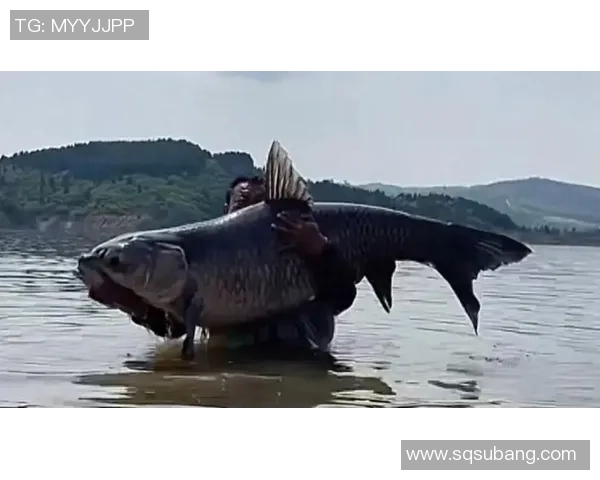 幸而没卖掉它!湖北男人钓上60斤大青鱼,有人出价1000被当场回绝 幸而没卖掉它!湖北男人钓上60斤大青鱼,有人出价1000被当场回绝